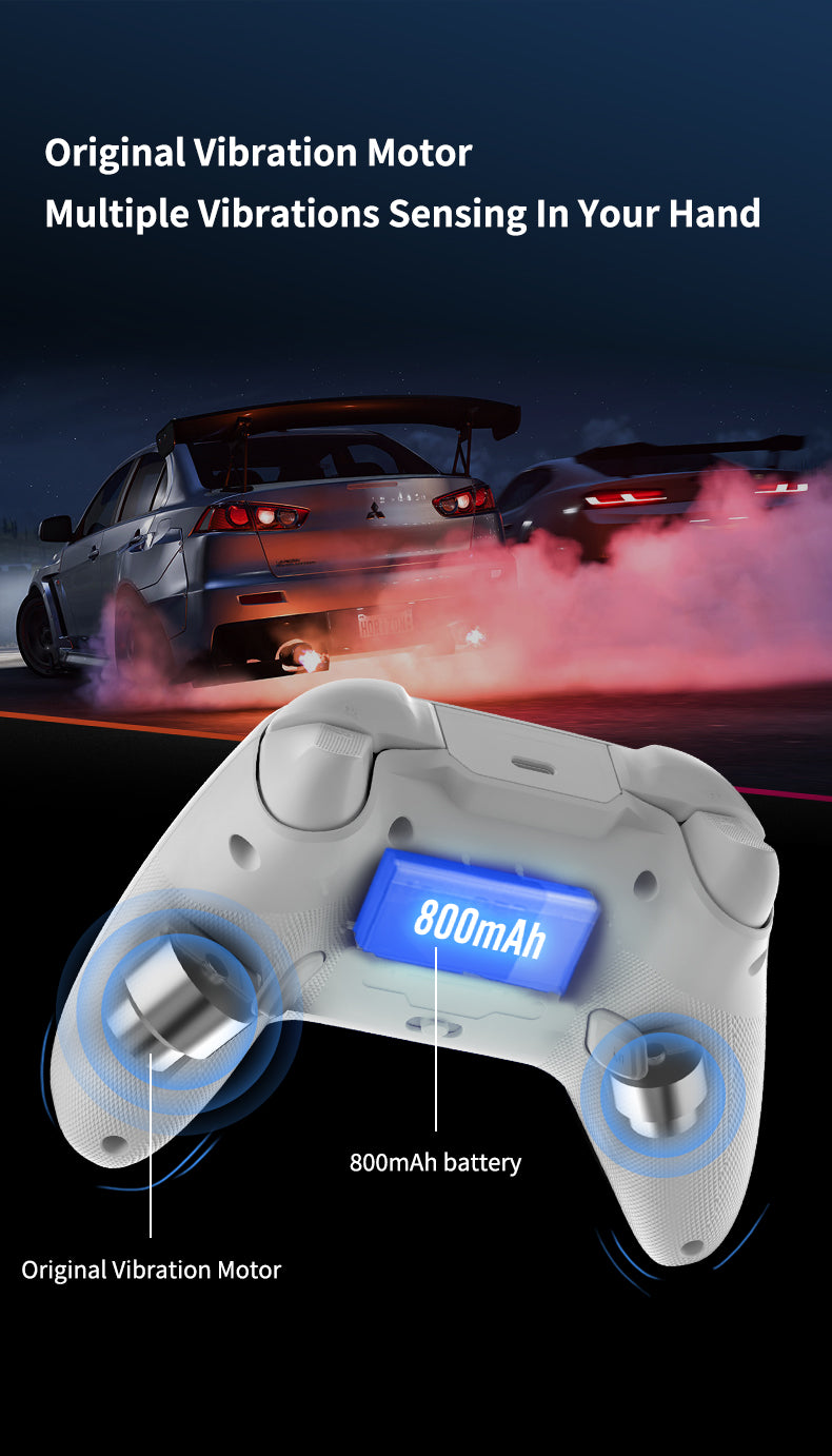 FLYDIGI Direwolf 2 Wireless Gaming Controller For PC/Switch
