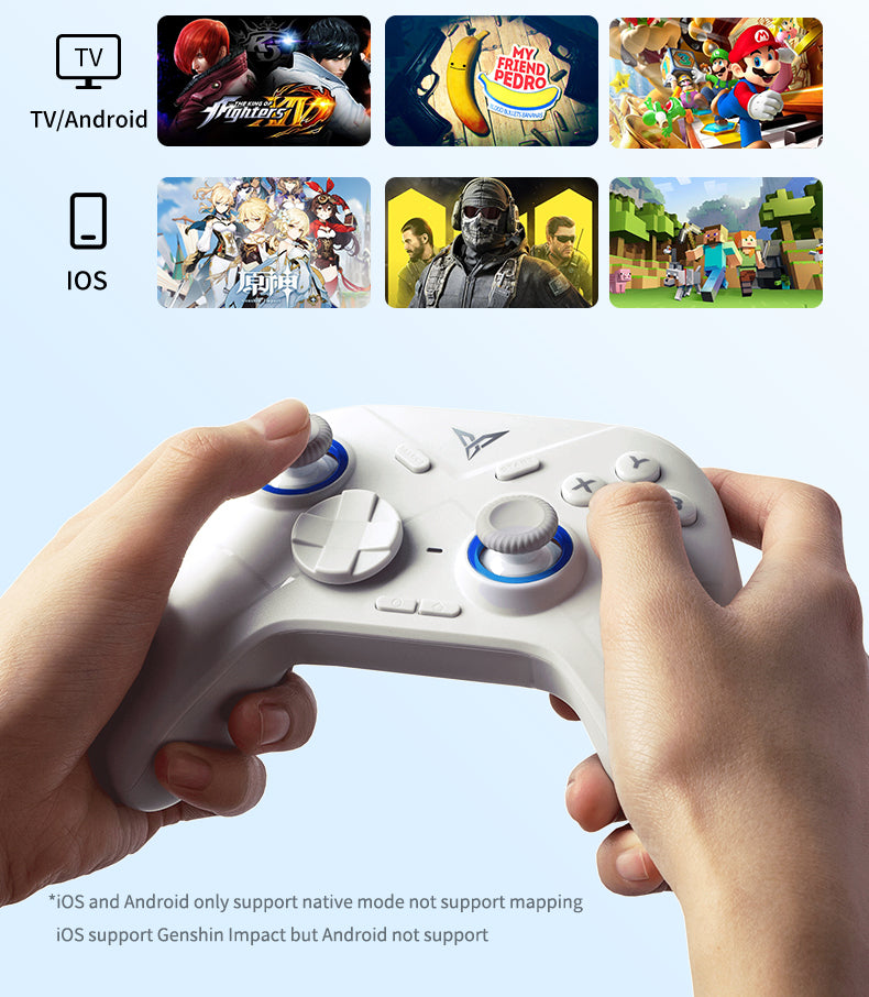 FLYDIGI Direwolf 2 Wireless Gaming Controller For PC/Switch