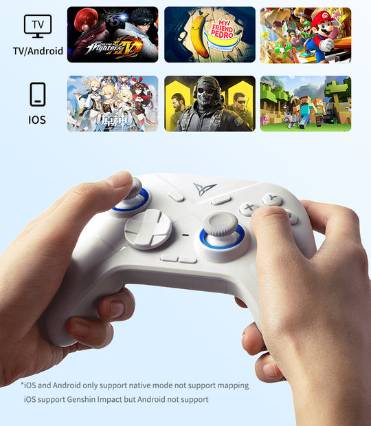 FLYDIGI Direwolf 2 Wireless Gaming Controller For PC/Switch