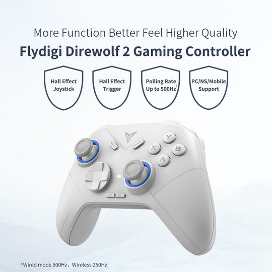 FLYDIGI Direwolf 2 Wireless Gaming Controller For PC/Switch